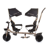 Chipolino Tricycle for twins "Hip Hop" ebony TRKHH0231EB