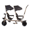 Chipolino Tricycle for twins "Hip Hop" ebony TRKHH0231EB