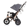Chipolino Tricycle with canopy "Bolide" granite TRKBLD02402GN