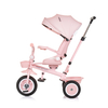 Chipolino Tricycle with canopy "Marathon" flamingo TRKMRT02407FL