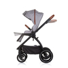 Chipolino Prestige 3 σε 1 Σύστημα Μεταφοράς 0-22kg cloud grey KKPRS02502CL