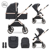 Lorelli BABY STROLLER REYA BLACK 2in1 with reversible hand 10022072501