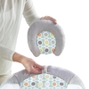 Ingenuity 11203 Musical baby bouncer with vibration Morrison