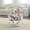 Ingenuity 11203 Musical baby bouncer with vibration Morrison