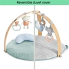 Ingenuity Cozy Spot Double-Sided Baby Activity Gym Loamy 12126