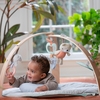 Ingenuity Cozy Spot Double-Sided Baby Activity Gym Loamy 12126