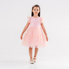 Girls’ Pink Dress with Frilled Tulle Sleeves & Layered Skirt – Headband Included
