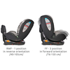 Lorelli Ares i-Size 40-150 cm Isofix 360 Rotating Car Seat 0-36 kg Green 10071792411