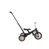 Kikka Boo Tricycle 5in1 Flip Black 31006020150