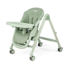 Peg Perego Living 2 in 1 High Chair 0+ months Sage