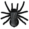 ISO Tarantula Remote Control Spider 00004503