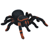 ISO Tarantula Remote Control Spider 00004503