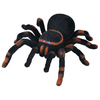 ISO Tarantula Remote Control Spider 00004503