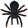 ISO Tarantula Remote Control Spider 00004503