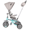 Lorelli Lucky Crew Baby Tricycle Grey Green 10050610021