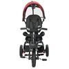 Lorelli Zippy Air Tricycle Bicycle Reversible Seat Air Wheels & Accessories Ruby 10050560004
