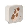 Kikka Boo PP lunch boxes 4pcs Kitty Cat Grey 31302040171