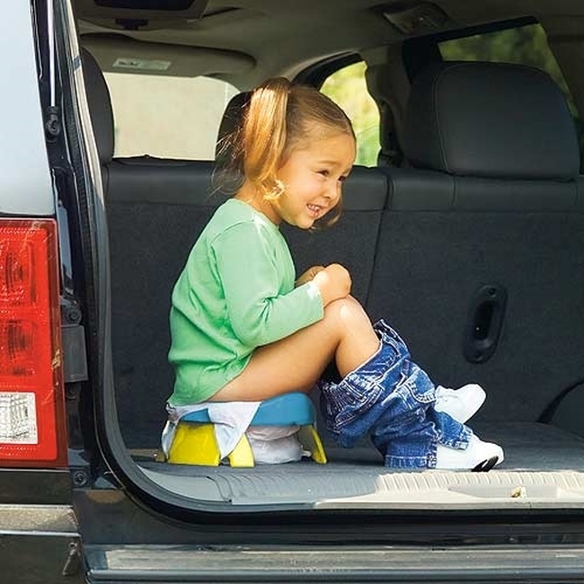 Potette Plus 2 in 1 Portable Travel Potty Misty 56012