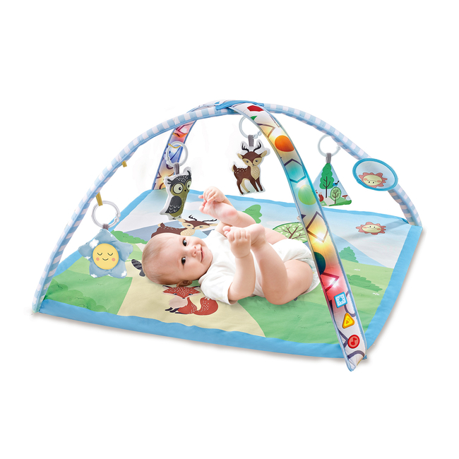 Chipolino Activity playmat with music and lights "Forest" PGRML02302FO