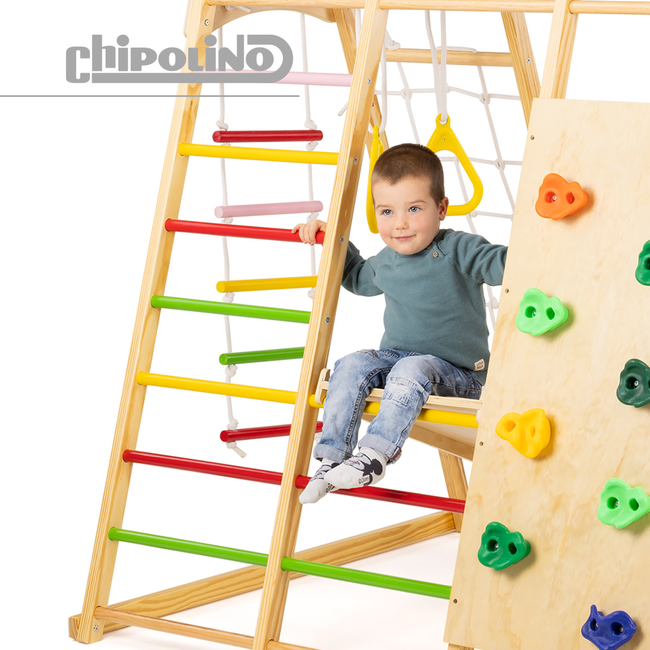 Chipolino Ξύλινο Πολυλειτουργικό Αναρριχητικό Παιχνίδι με Κούνια & Μαυροπίνακα (WTARSL02503)