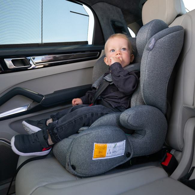 Lorelli CAR SEAT BENEVENTO 76-150CM ISOFIX  GREY 10071772406