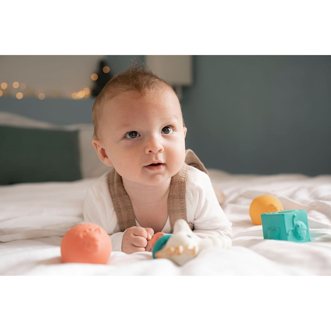 Sophie la girafe Sophie the Giraffe Early Development Toy Gift Set S220135