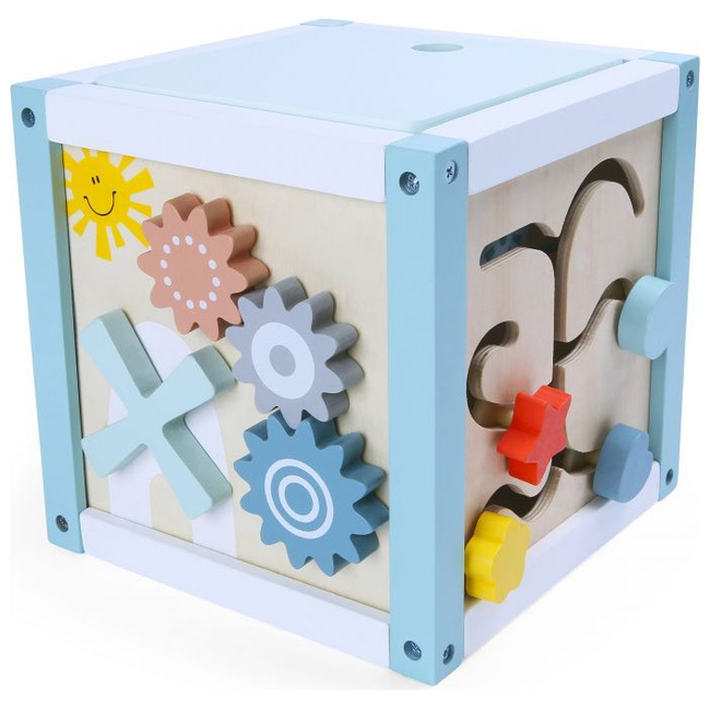 Wooden educational cube sorter + blocks Ecotoys