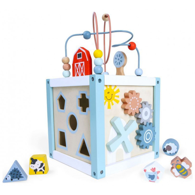 Wooden educational cube sorter + blocks Ecotoys