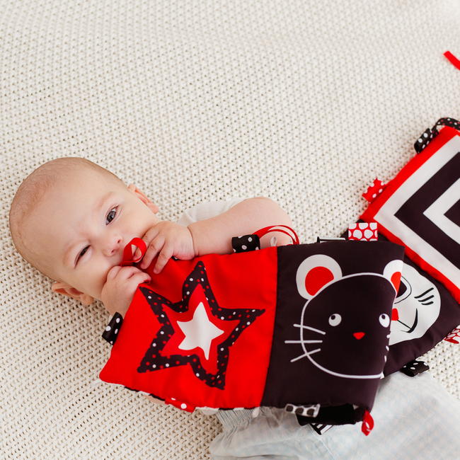 Bali Bazoo Contrasting Book Βιβλίο Δραστηριοτήτων Animals 6925783810476