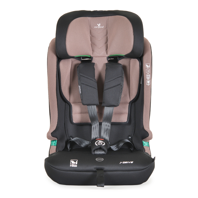Cangaroo Baby car seat iDrive Powder Puff 3801005152711