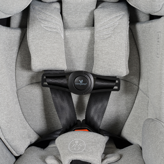 Cangaroo Child seat security clip Axero 3800146271978