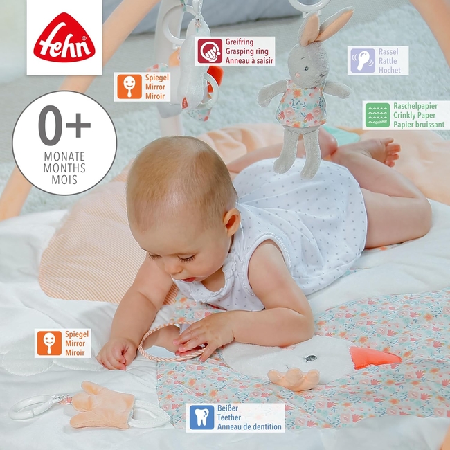 Fehn 3D Baby Activity Gym Swan Lake