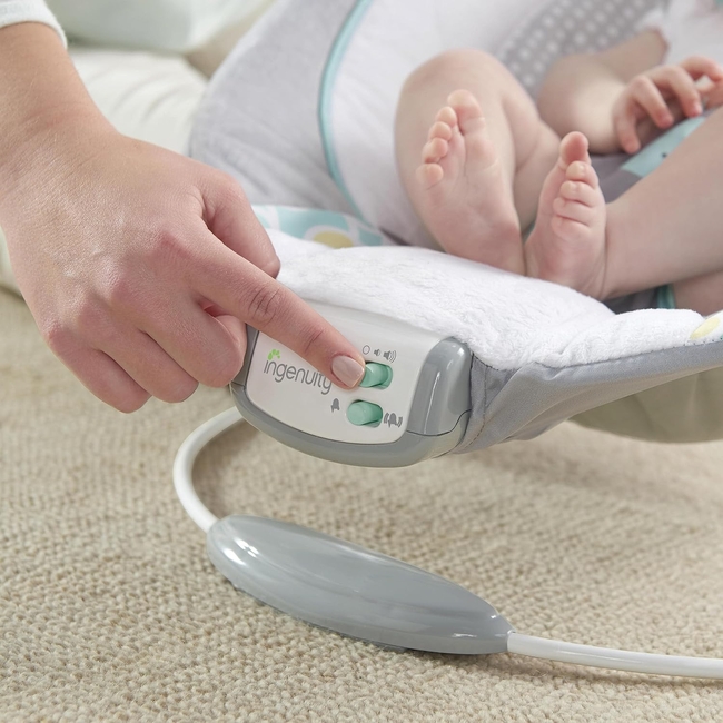 Ingenuity 11203 Musical baby bouncer with vibration Morrison