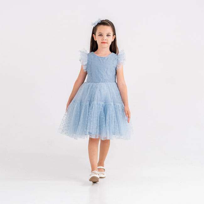 Girls’ Light Blue Dress with Frilled Tulle Sleeves & Layered Skirt – Headband Included