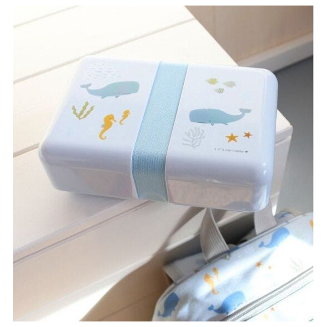 A little lovely company Food container Lunch box Ocean SBOCBU34