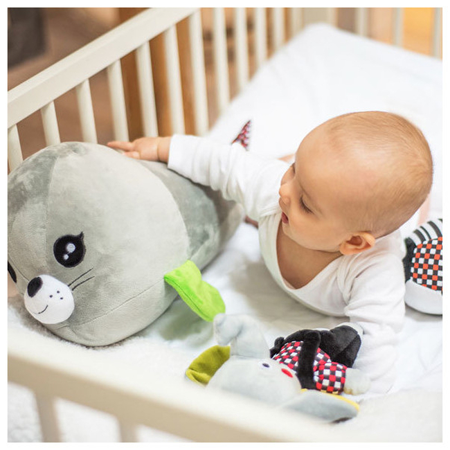 Babyono Contrast Baby Ball 0+ m BN638