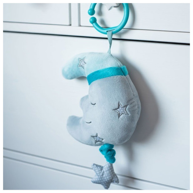 Babyono musical toy Happy Moon BN610