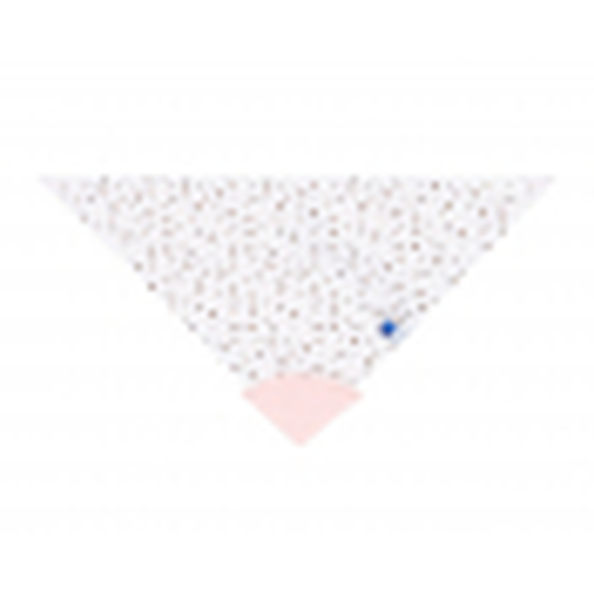 Kikka Boo Σαλιάρα μπαντάνα με μασητικό Savanna Pattern Pink (31303030034)