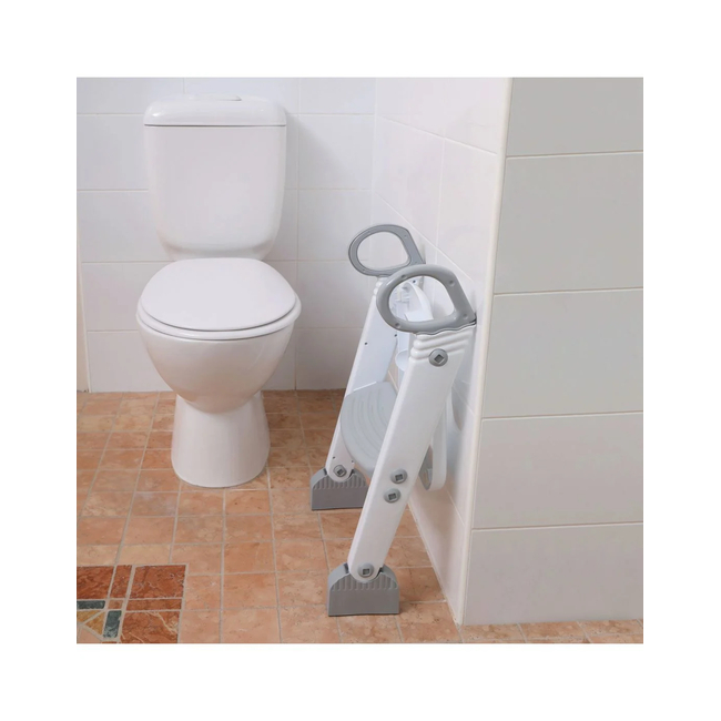 DreamBaby Children's Training Toilet Seat with Step Grey/White BR75176