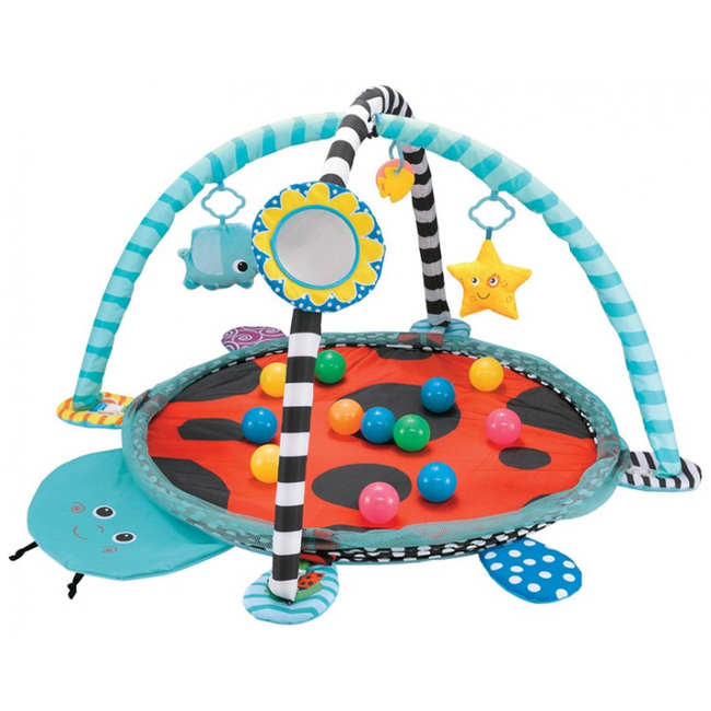 Cangaroo Ladyfly Activity Gym with 30 Balls 3800146267841