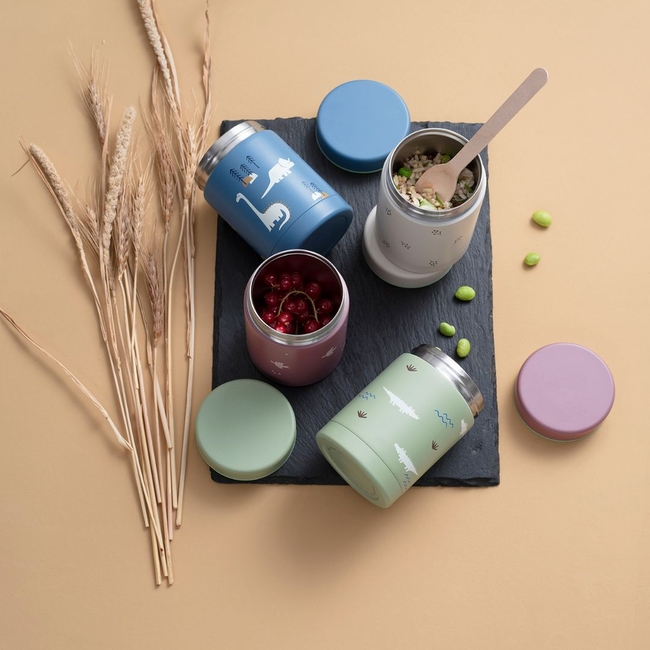 Fresk Θερμός από ανοξείδωτο ατσάλι φαγητού 300ml Berries FR-FD100-09