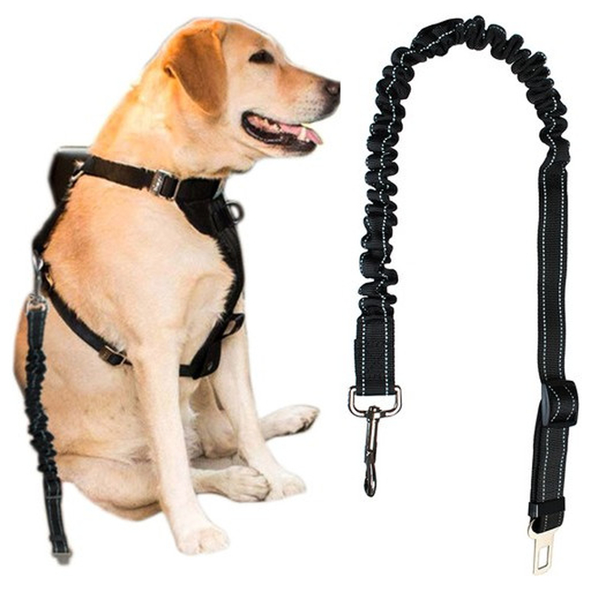 ISO Ιμάντας Ελαστικό Λουράκι Σκύλου για το Αυτοκίνητο με Κούμπωμα & Αγκράφα 70-130cm 6230