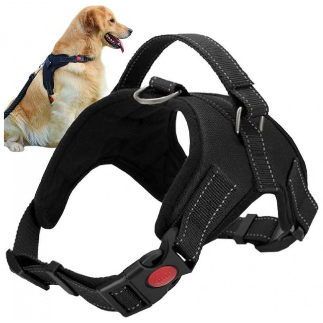 ISO Dog Collar Vest Black Medium 52-64cm Black 00016151