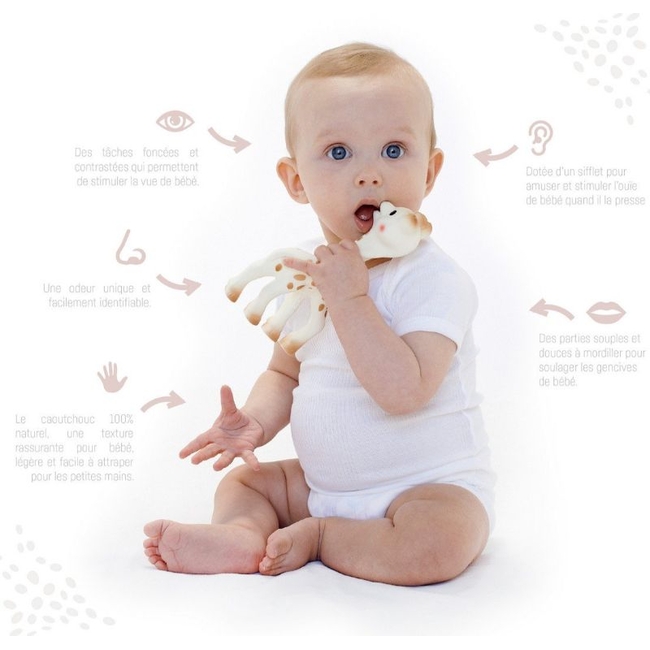 Sophie La Girafe Sophie the Giraffe and Natural Teether Set 2 pcs (616624)