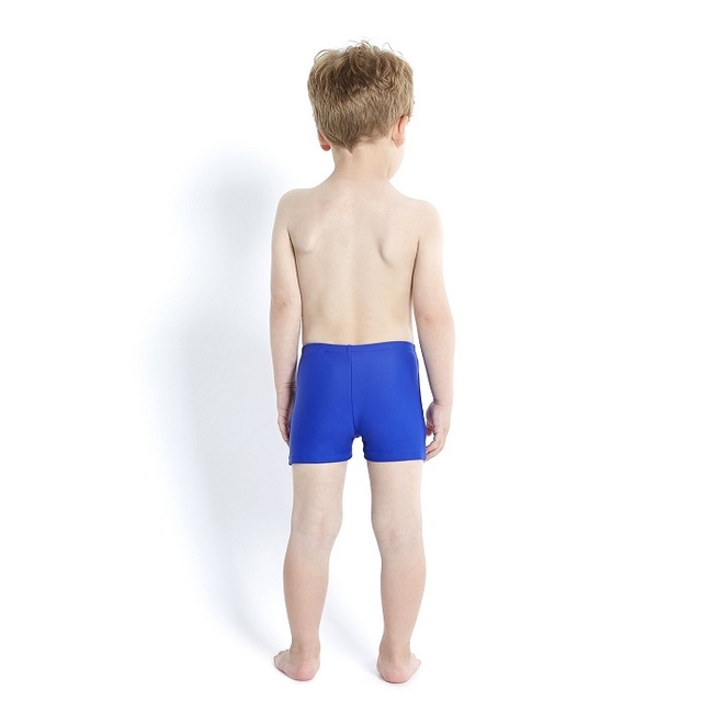 Speedo Shark Boy's Swimsuit Blue