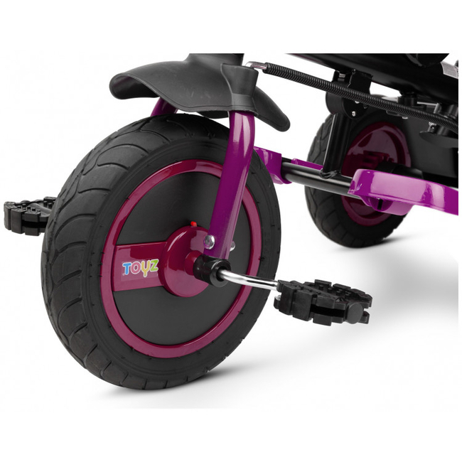 Toyz Caretero Buzz Tricycle with Reversible Seat & Accessories Purple TOYZ-0332