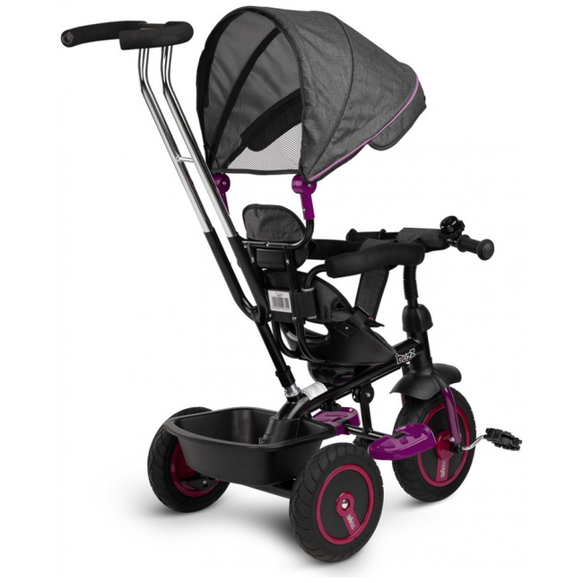 Toyz Caretero Buzz Tricycle with Reversible Seat & Accessories Purple TOYZ-0332